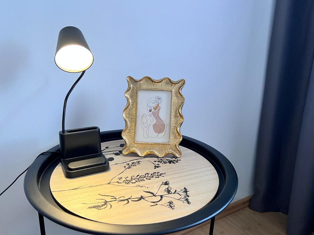 Turnu Măgurele Cozy Apartment מראה חיצוני תמונה